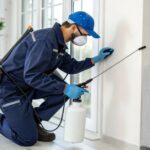 Pest Control Keeping Your Home and Health Safe